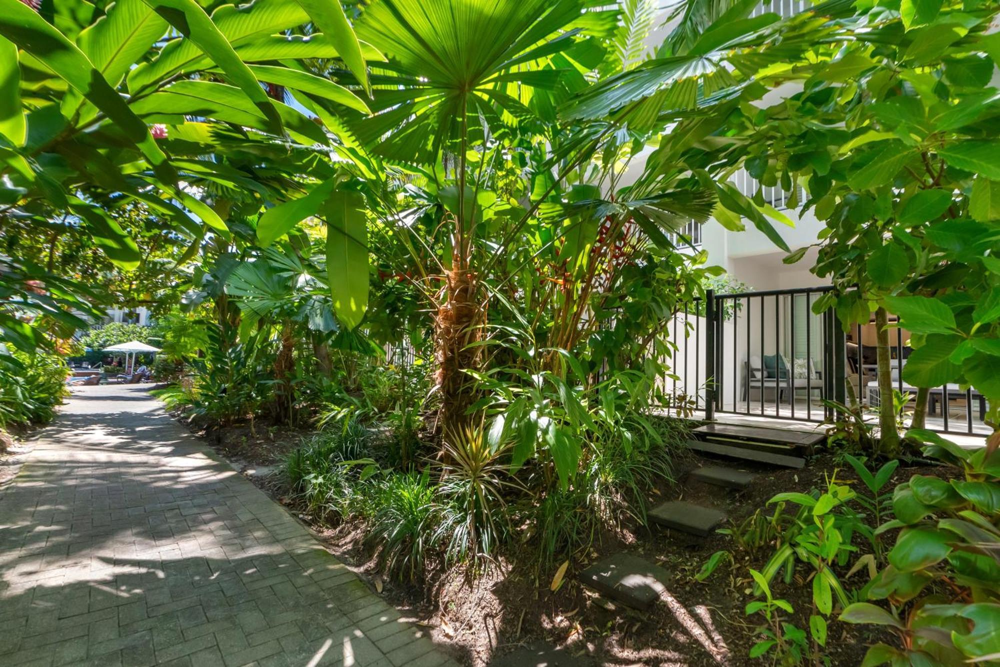 Elysium Private Apartments At Beach Club & Spa Palm Cove Exterior photo