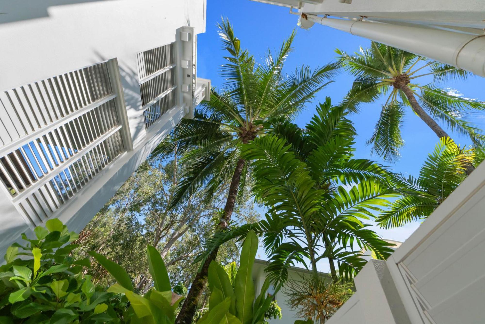 Elysium Private Apartments At Beach Club & Spa Palm Cove Exterior photo